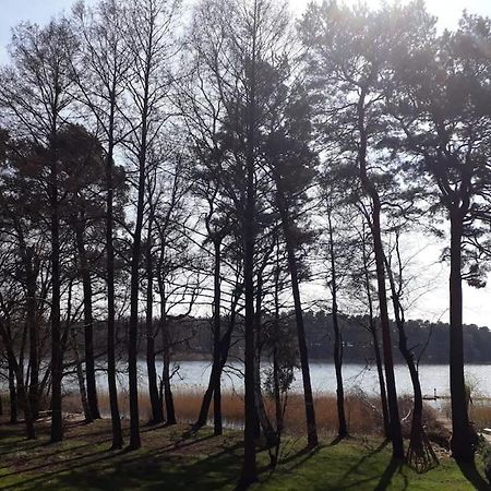 Haus Wilma Gruene Idylle Im Wald Direkt Am See Wendisch Rietz Kültér fotó