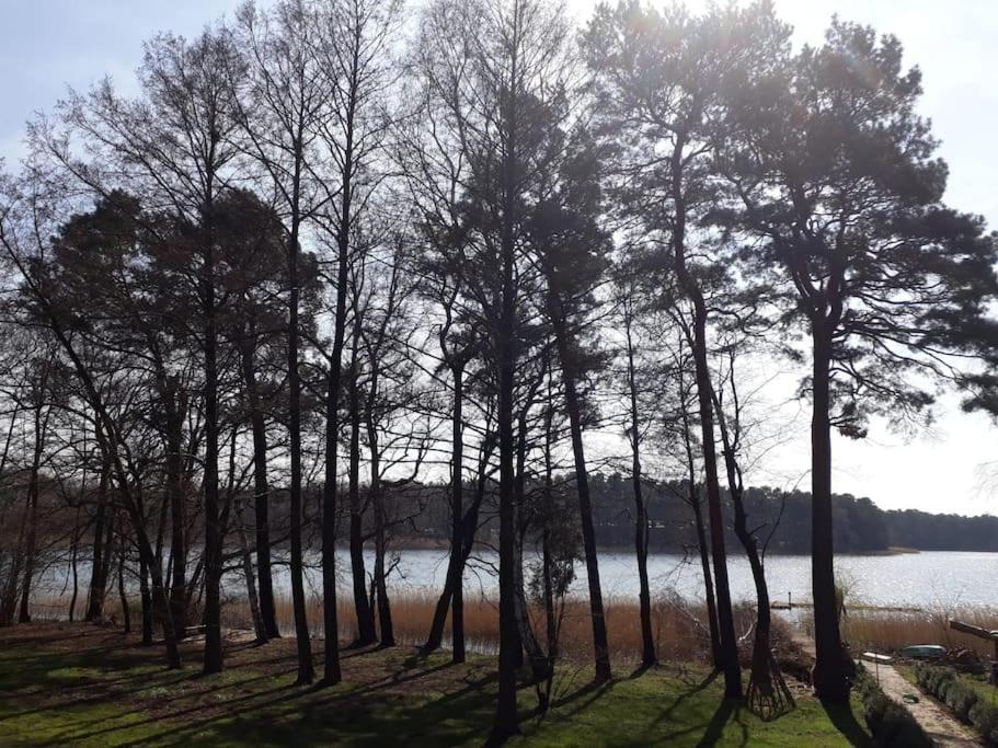 Haus Wilma Gruene Idylle Im Wald Direkt Am See Wendisch Rietz Kültér fotó