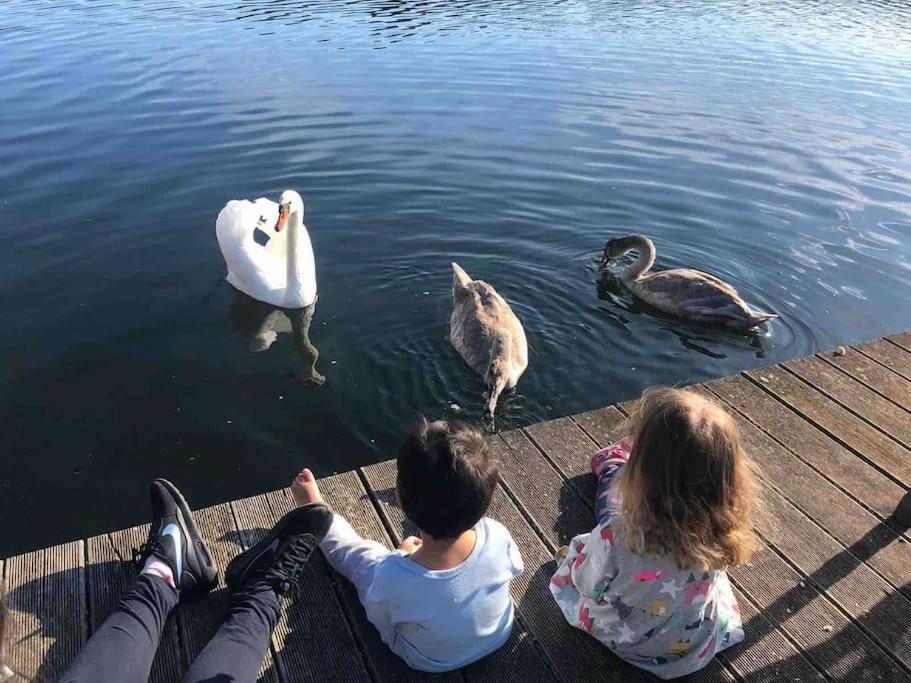 Haus Wilma Gruene Idylle Im Wald Direkt Am See Wendisch Rietz Kültér fotó