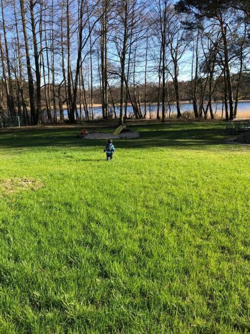 Haus Wilma Gruene Idylle Im Wald Direkt Am See Wendisch Rietz Kültér fotó