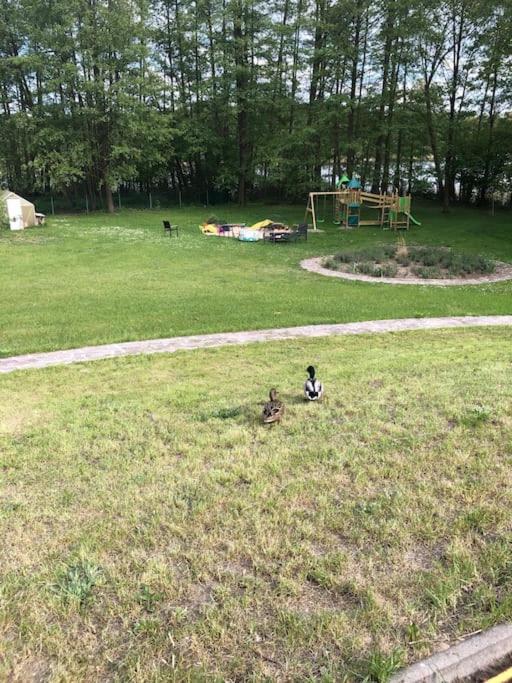 Haus Wilma Gruene Idylle Im Wald Direkt Am See Wendisch Rietz Kültér fotó