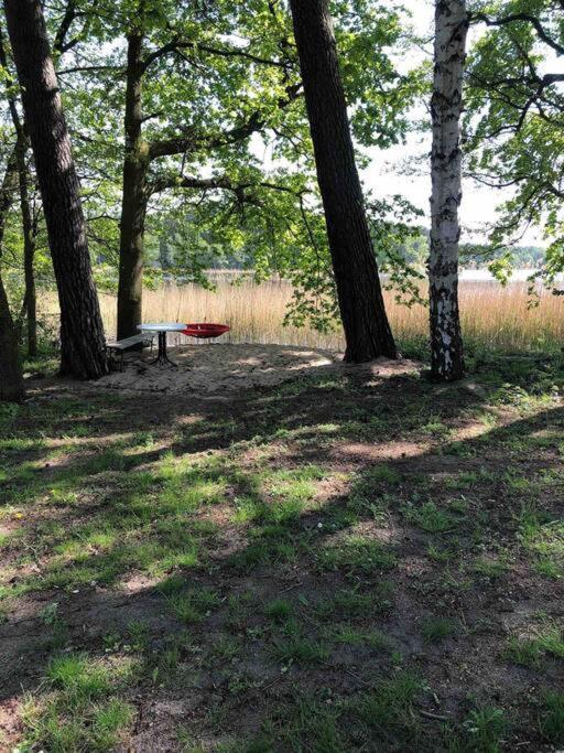 Haus Wilma Gruene Idylle Im Wald Direkt Am See Wendisch Rietz Kültér fotó